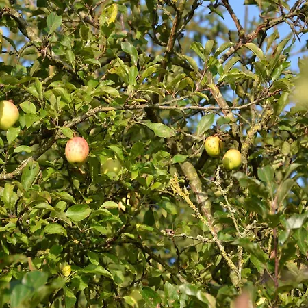 In Peaceful Setting And Large Garden *