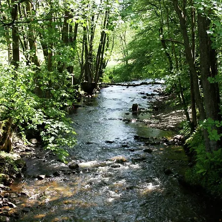 In Peaceful Setting And Large Garden Feriehus *