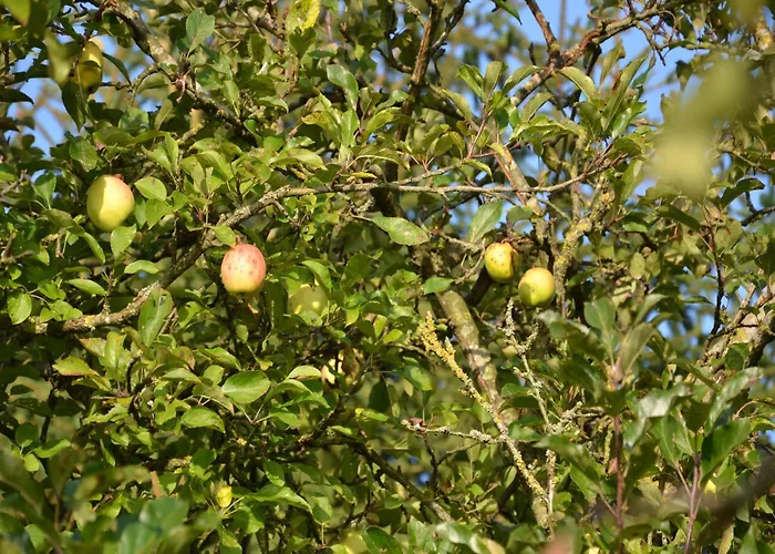 In Peaceful Setting And Large Garden *